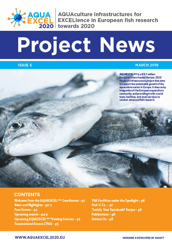 Project News