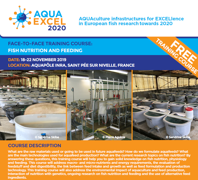 Image of leaflet