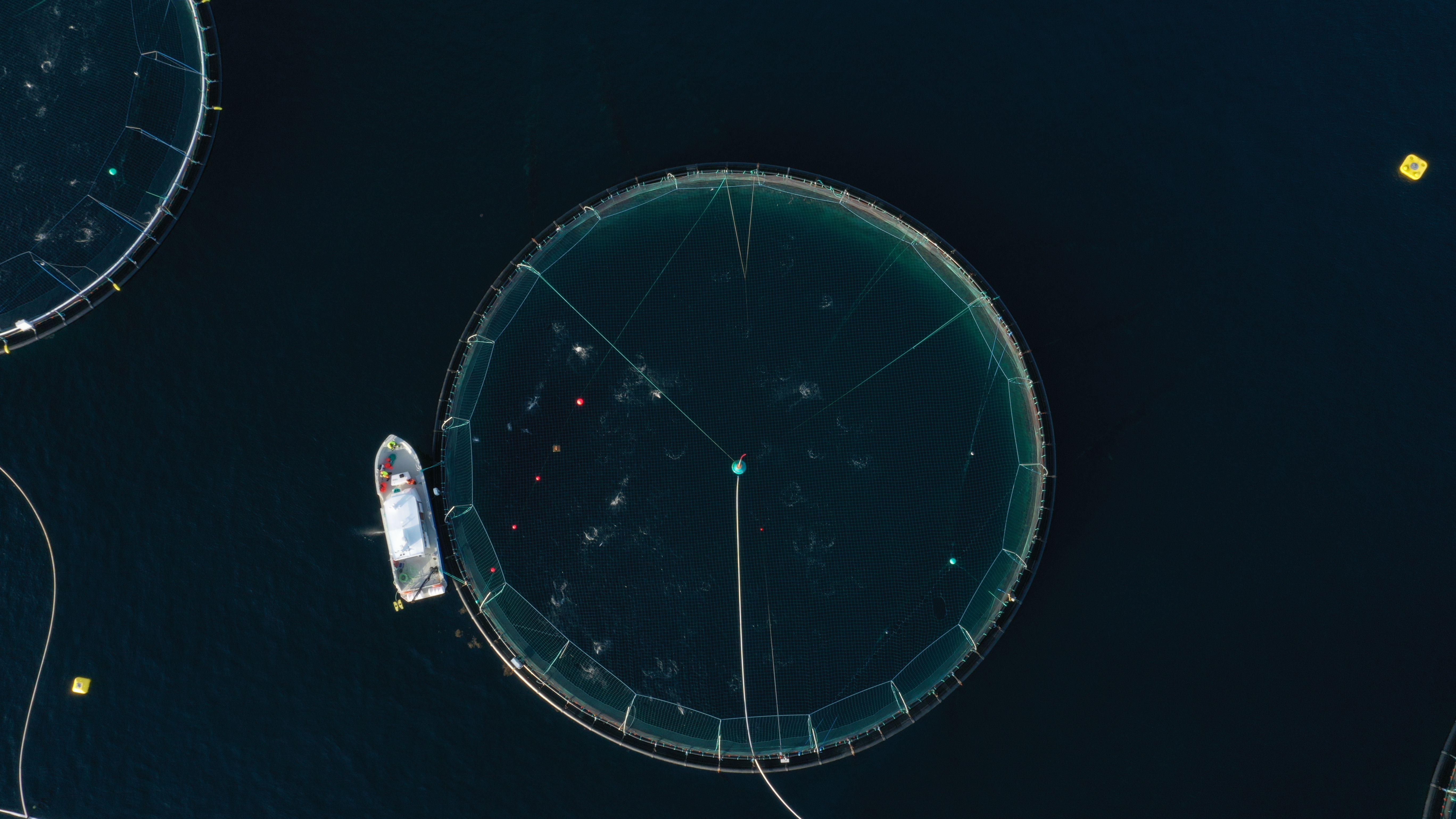 Image of sea cage