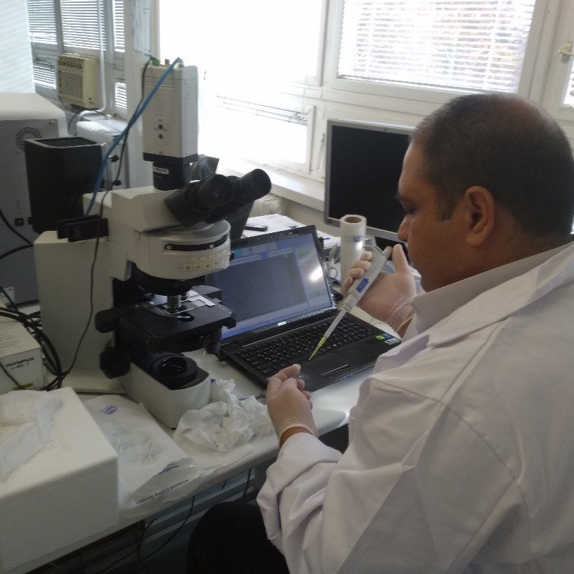 image of lab work