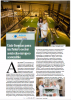 spanish cover page article
